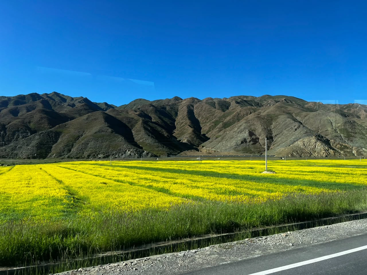 gallery_image